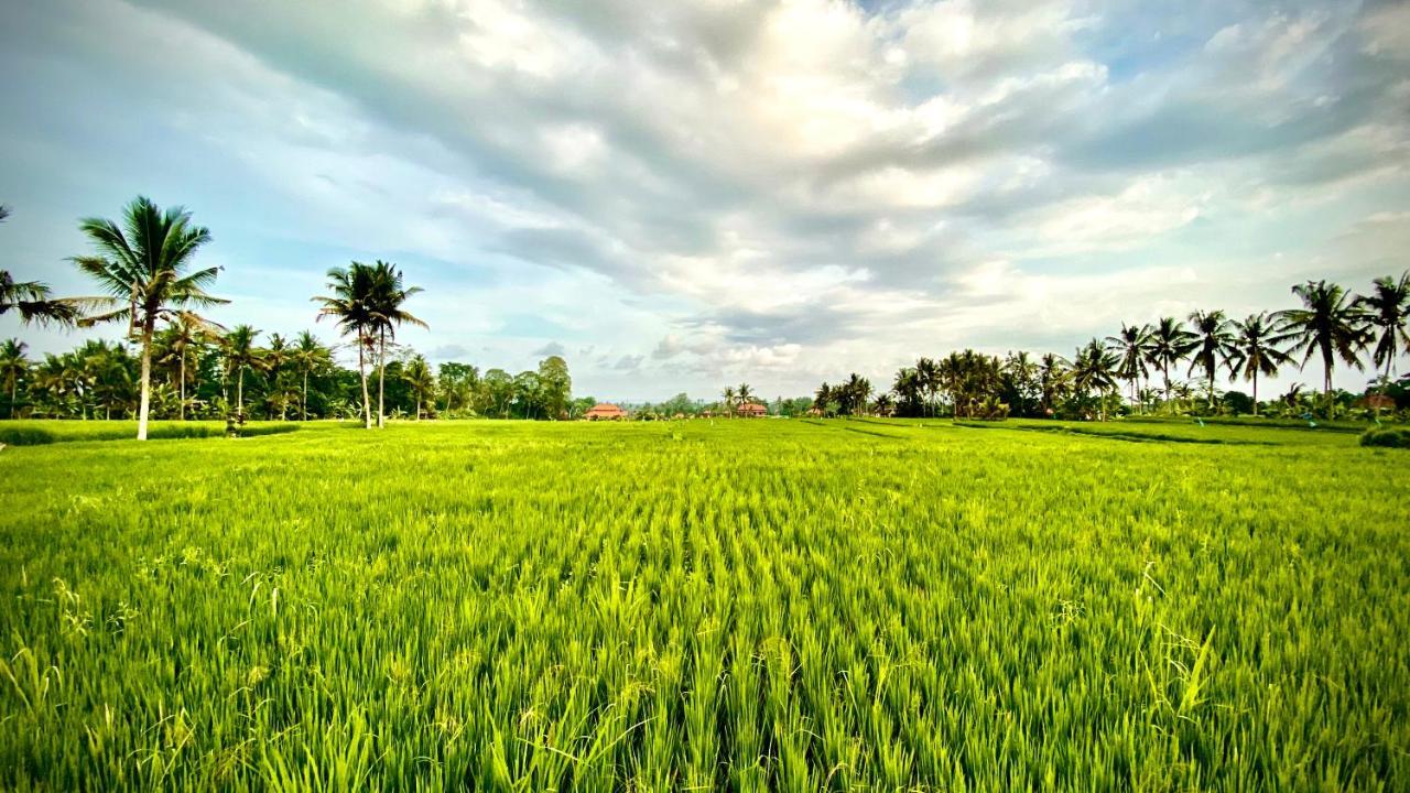 Villa Sawah Ramah Ubud  Luaran gambar